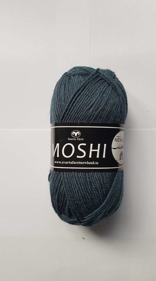 Moshi Petrol